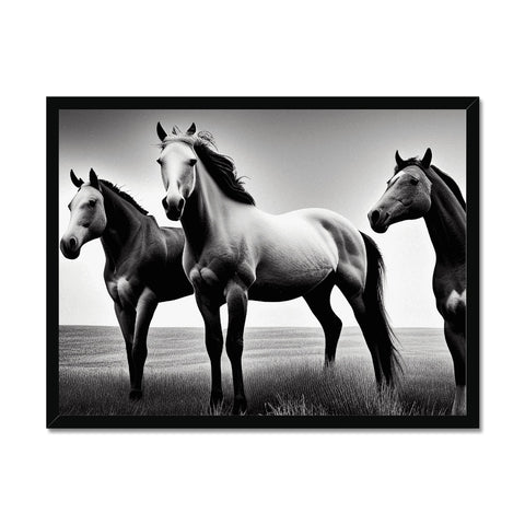 A trio of horses riding around in a field near a black-and-white photo