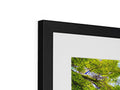 A photograph of sun and trees are in a white box underneath a picture frame by the