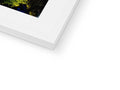 A softcover book in a white frame holding a white picture on a white background.