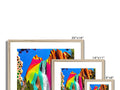 A rainbow framed photo of pine trees with some rocks in it