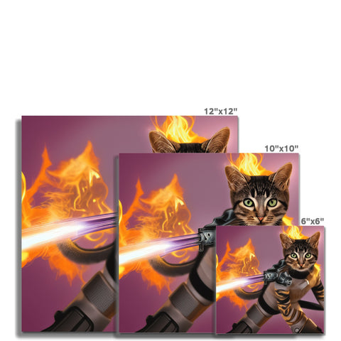 a book book has multiple pictures on it that cover a large cat on a table