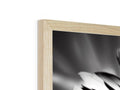 A picture frame with a photo in it, a wooden panel with a flower in the