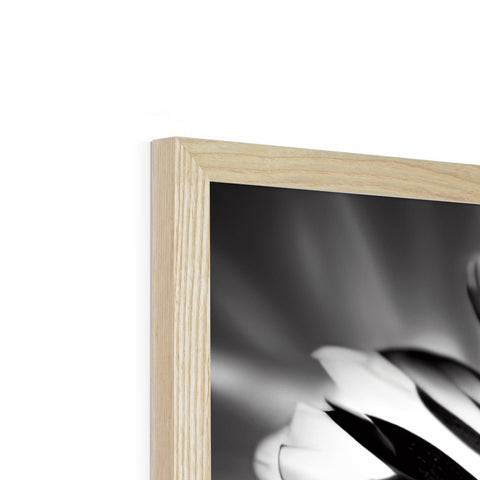 A picture frame with a photo in it, a wooden panel with a flower in the