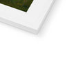White picture frame showing a picture of grass in the background sitting in a white room.