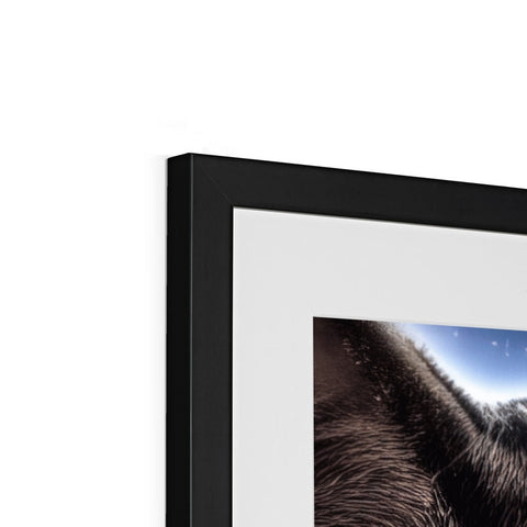 A print of a picture frame that has a photo of various animals on it.