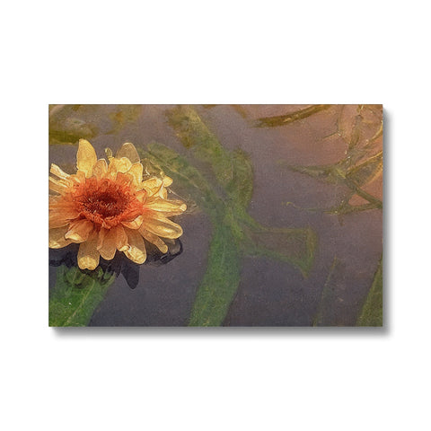 A yellow flower on front of a board in a pond