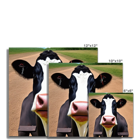 A large picture of a herd of cows that is showing a cow looking up.