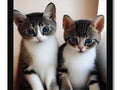 A couple of little gray kittens pose on the top of a picture frame next to