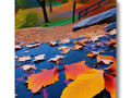 The photo is large with a colorful color on a blanket with falling leaves in the background