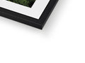 A picture frame standing on a white background in an open window.