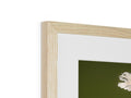 A picture of a tree in a frame of a white wood frame.