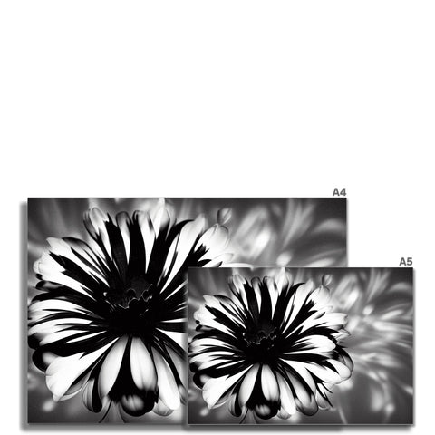 A black and white photo of flowers in a vase.
