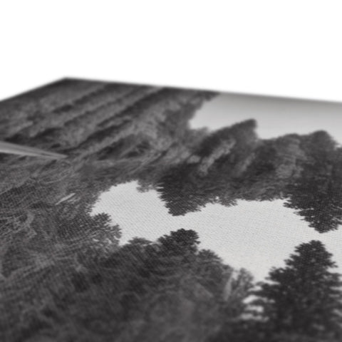 Black and white paintings of a forest of beautiful trees on a white paper back.