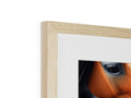 A picture of a horse looking into a picture frame on a wall above a wooden object