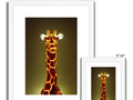 Giraffe stands next to two giraffes standing in a forest with foliage and