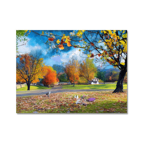 a colorful blanket set on a table with fall foliage with a picture on one side and