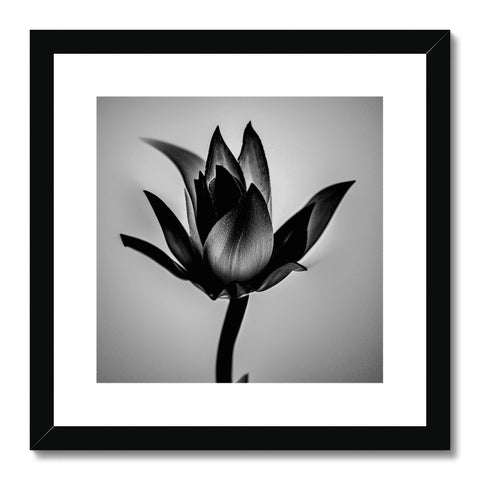 A photograph on a black and white picture frame with a lotus growing on it.