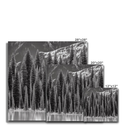 a mountain with tall trees is looking like a mountain slope of gray color