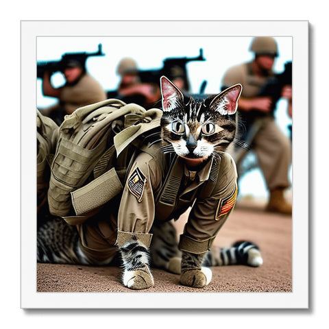 A cat on a leash next to a decorated photo of a soldier with a rifle and