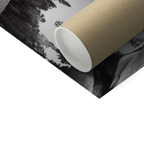 A toilet roll with tissue paper in the background of a photo.