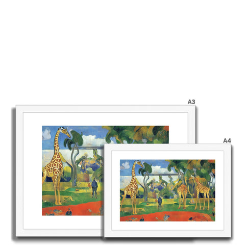 Four giraffe standing in the grass on a tall grassy field with trees in the