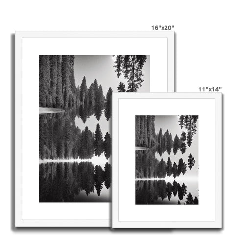 three photograph frames with pictures of pine trees with trees stacked on top of them on a