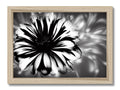 A photo of a yellow flower on a wooden frame with a black and white photo of