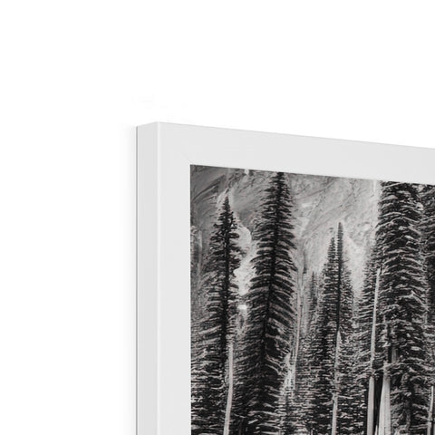 A wooden art print frames with pictures of trees near snow on a building.