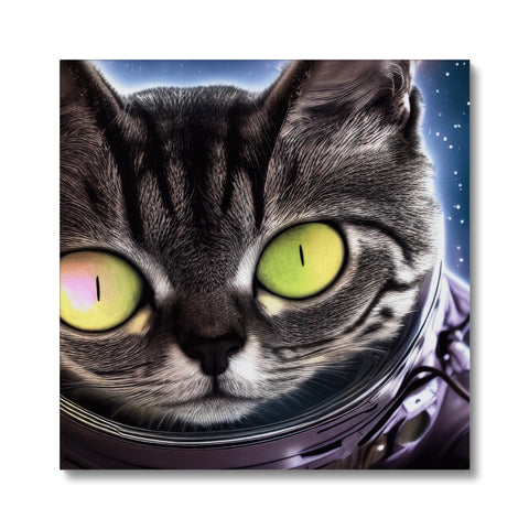 A cat standing on a table near a spaceship on an oval pillow covered in glass with