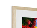 A picture print is mounted in a wooden frame with a single red photo.