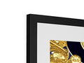 A couple of framed photographs hanging on a wall with gold jewelry in different sizes.