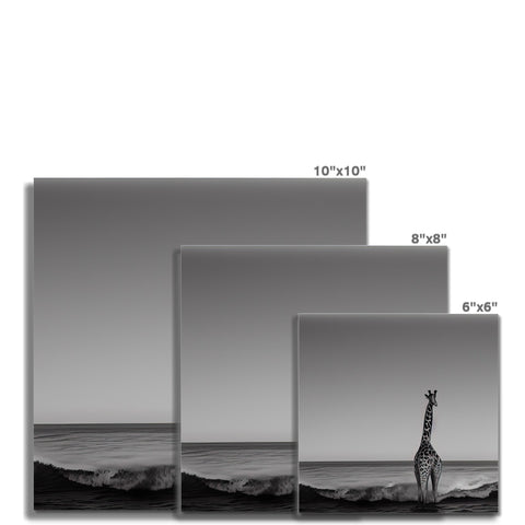 Four pictures of a giraffe standing on a black and white display screen on top of