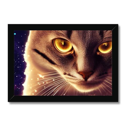 A beautiful cat is looking up to be seen with a gold framed image.