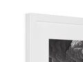 A white picture frame with a frame and a picture of different types of art on it