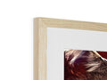 A photo in a picture frame in a wooden frame with a close up of a dog