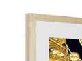 A framed photo of gold framed pictures is pictured on a piece of wooden board.