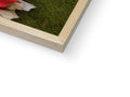 A soft cover image of a book and picture frames on a table.