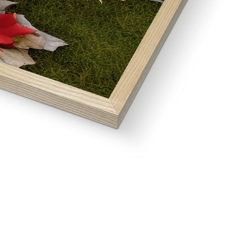 A soft cover image of a book and picture frames on a table.