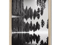 An art print of pine trees hanging on a black frame on the wall.