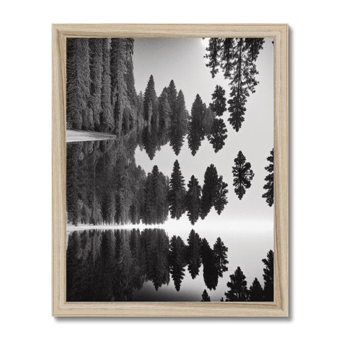 An art print of pine trees hanging on a black frame on the wall.