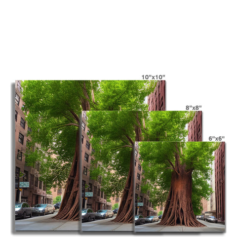 a group of trees that grew in between two tall buildings