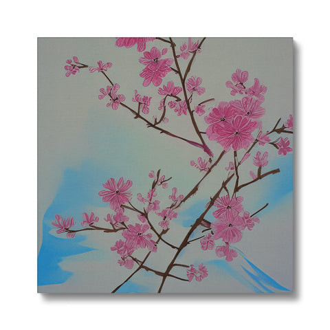 A single blue blossom tree with a pink background behind it.