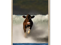 A picture of a cow standing on top of a wooden frame.