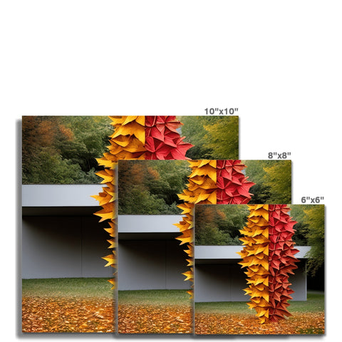 The fall foliage is shown on a small wall with a white background in the background.