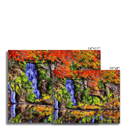 This picture of an outcropping of colorful tile with trees surrounding.