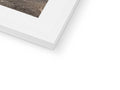 White photo of a picture frame that has a close-up of a single image.