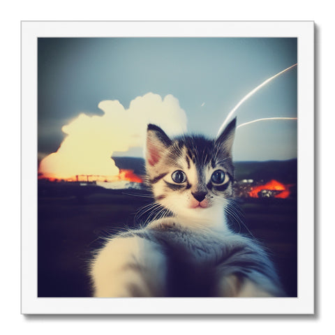 A kitten is pictured in a photograph attached to a photo of a mirror.