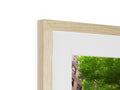 a photo frame sitting on a wall with a picture of a tree on a wooden wall