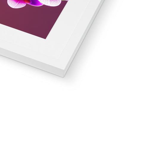 A picture of a violet flower on a white framed photo board.