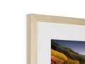 A wooden framed photograph is a view of a tree in a frame.